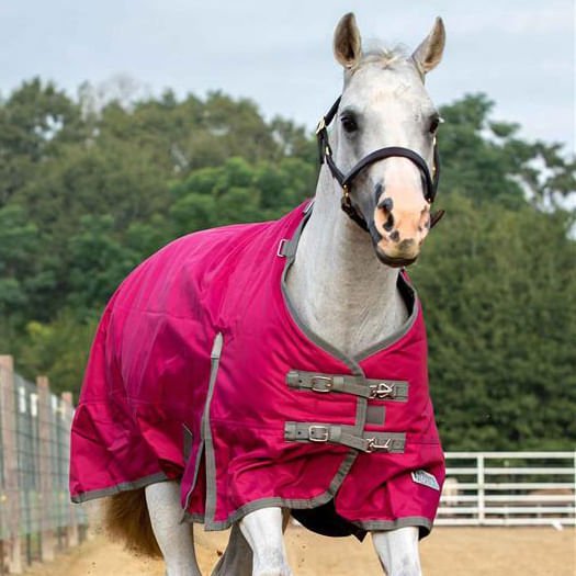 Jeffers Romper Stomper Turnout Sheet, 1680D - Jeffers - Horse Supplies > Horse Blankets & Sheets