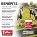 Jeffers Scratches Away Zinc Oxide Paste for Horses, Scratches, Greasy Heel & Pastern Dermatitis - JEF2Z1 - Paste - 8 oz - 1 - 4