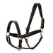 Jeffers Softie Padded Leather Halter for Horses - GAG1W5 - Havana - Cob - 2