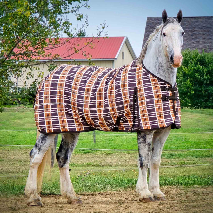 Jeffers Solaris 1200D Draft Horse Blanket, 240g - Jeffers - Horse Supplies > Horse Blankets & Sheets