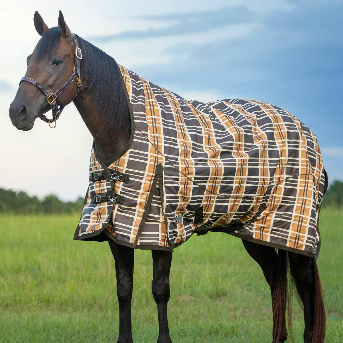 Jeffers Solaris 1200D Extended Neck Horse Blanket, 240g