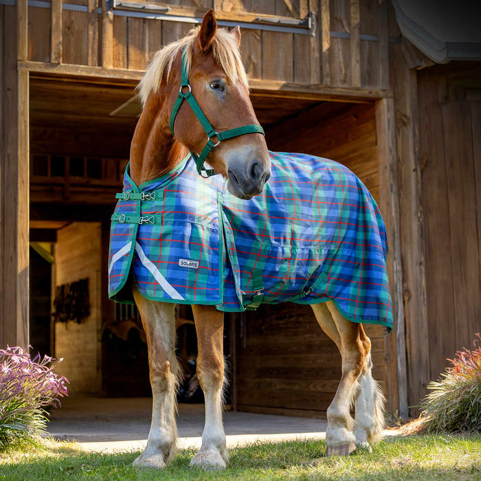 Jeffers Solaris Draft Turnout Blanket – 1200D, 360g Heavy Weight, Standard Neck - JEFCPM - PreSale Navy & Hunter Plaid - 87" - 1