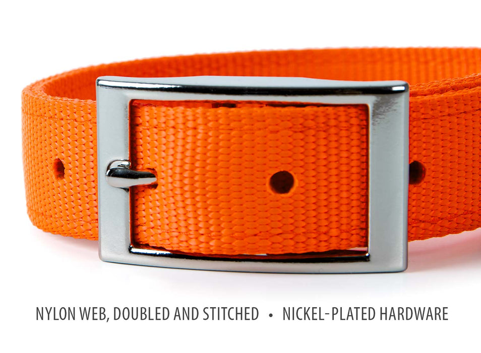 Jeffers Solid Web Nylon Dog Collar - SS5R - 5/8"W x 10"L - Pumpkin - 8