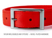 Jeffers Solid Web Nylon Dog Collar - SS5R - 5/8"W x 10"L - Pumpkin - 2