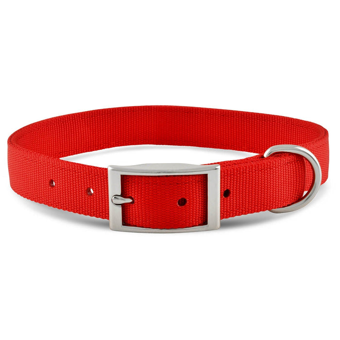 Jeffers Solid Web Nylon Dog Collar - SS5R - 5/8"W x 10"L - Pumpkin - 1
