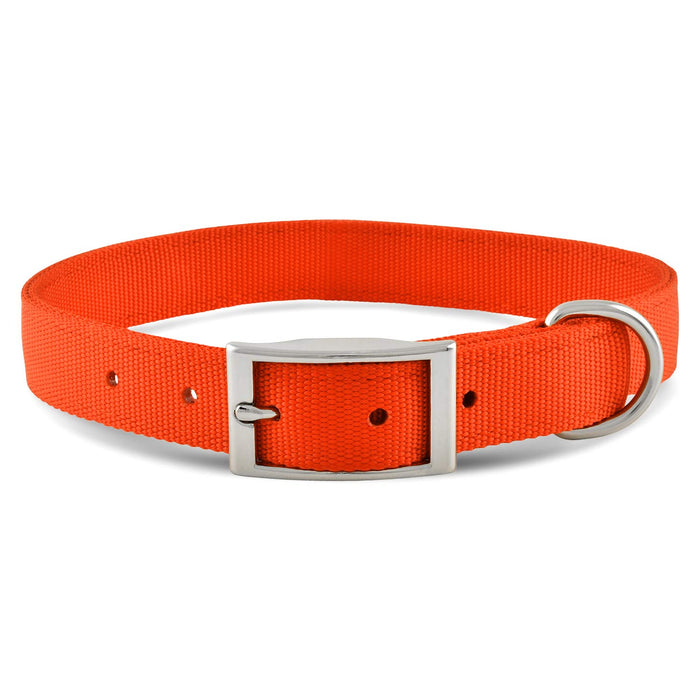 Jeffers Solid Web Nylon Dog Collar - SSO3 - 5/8"W x 10"L - Orange - 35