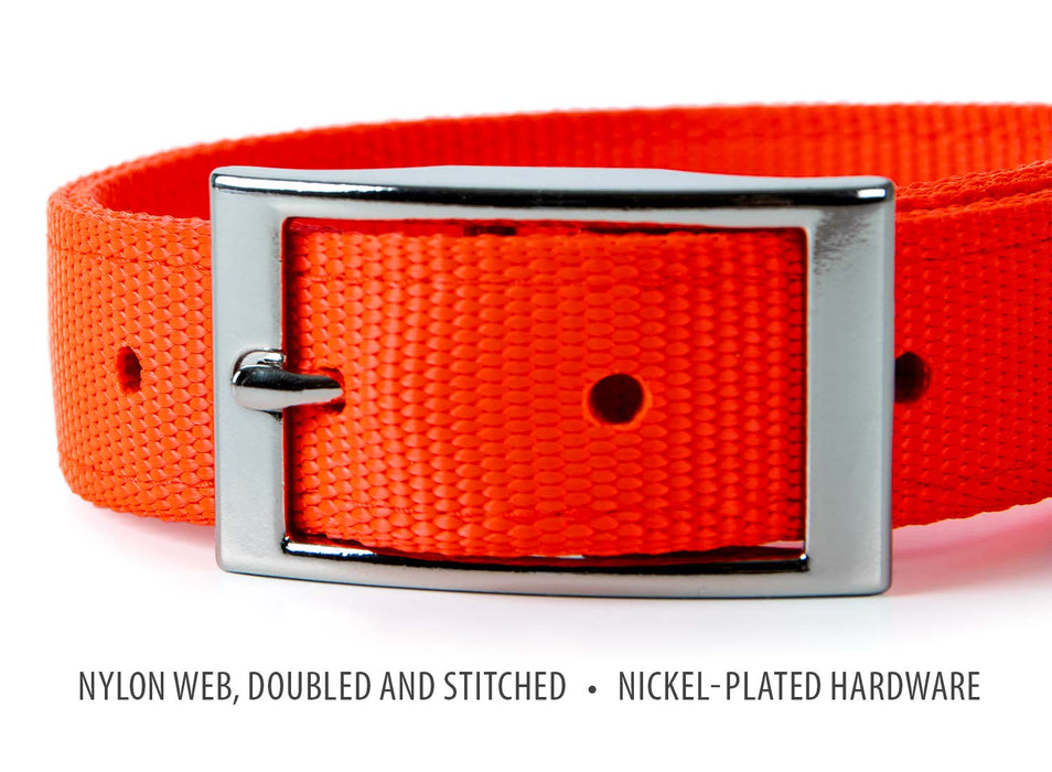 Jeffers Solid Web Nylon Dog Collar - SSO3 - 5/8"W x 10"L - Orange - 36