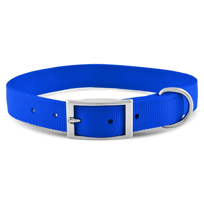 Jeffers Solid Web Nylon Dog Collar - SSWC - 5/8"W x 10"L - Royal Blue - 23