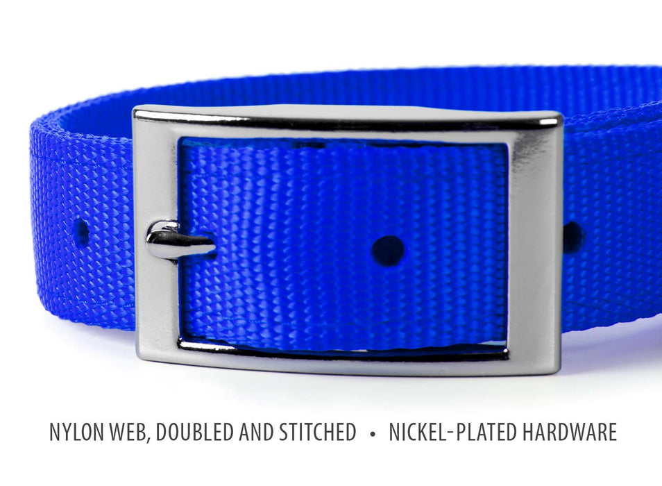 Jeffers Solid Web Nylon Dog Collar - SSWC - 5/8"W x 10"L - Royal Blue - 24
