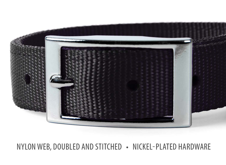 Jeffers Solid Web Nylon Dog Collar - SSWD - 5/8"W x 10"L - Black - 32
