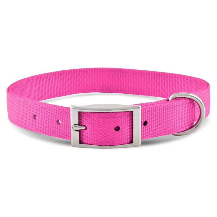 Jeffers Solid Web Nylon Dog Collar - SSWK - 5/8"W x 10"L - Hot Pink - 11