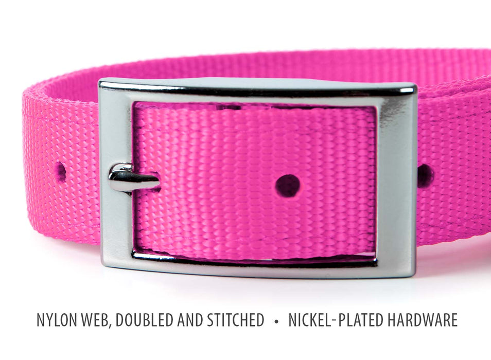 Jeffers Solid Web Nylon Dog Collar - SSWK - 5/8"W x 10"L - Hot Pink - 12