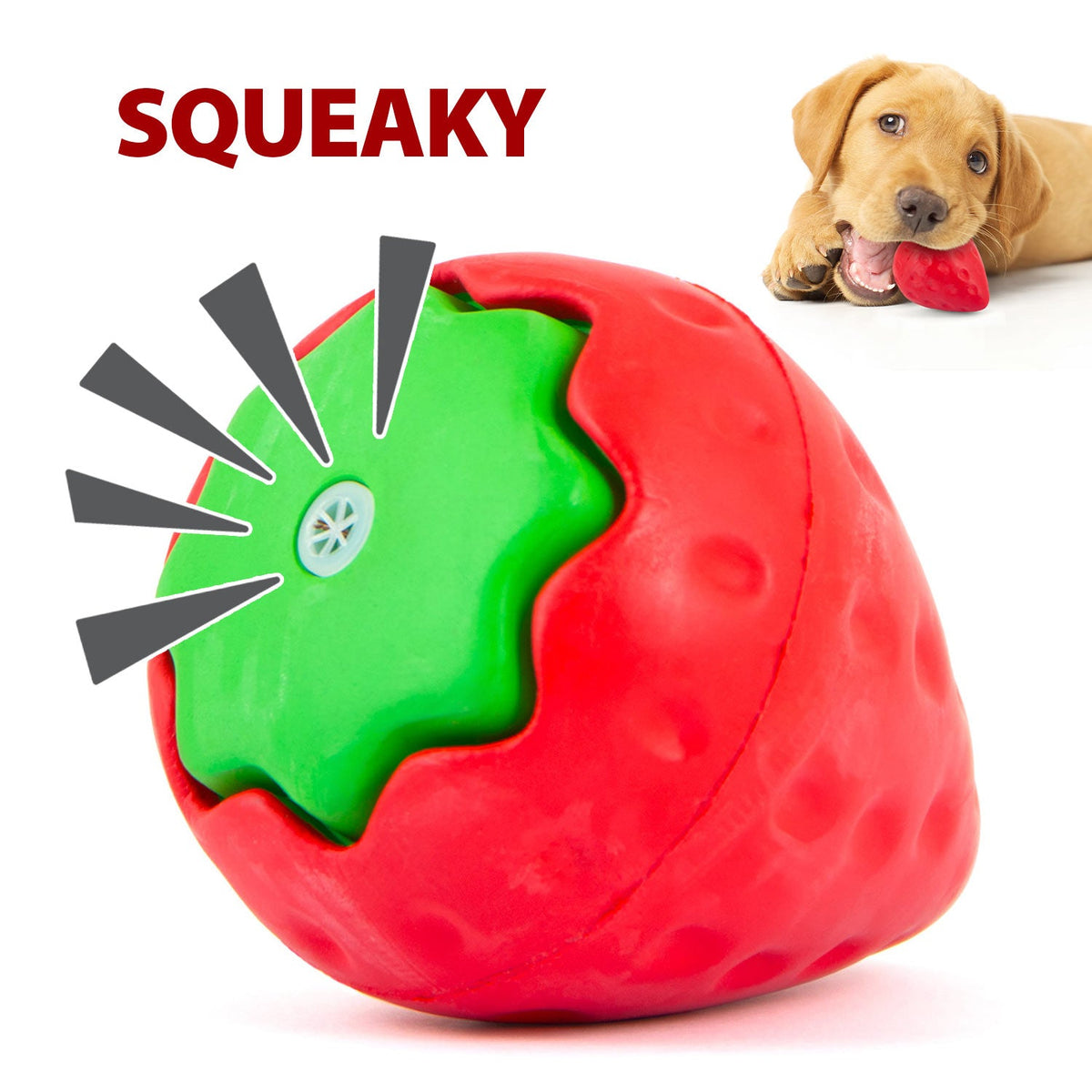 Jeffers Squeaky Strawberry Natural Rubber Dog Dental Chew Toy with Squeaker & Vanilla Scent for Medium Chewers Multi / Small / 1