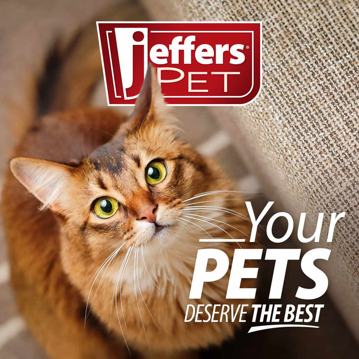 Jeffers Stainless Steel Cat Claw Scissors – Easy & Safe Nail Clippers for Cats, Birds, and Small Pets - JIU3 - 7