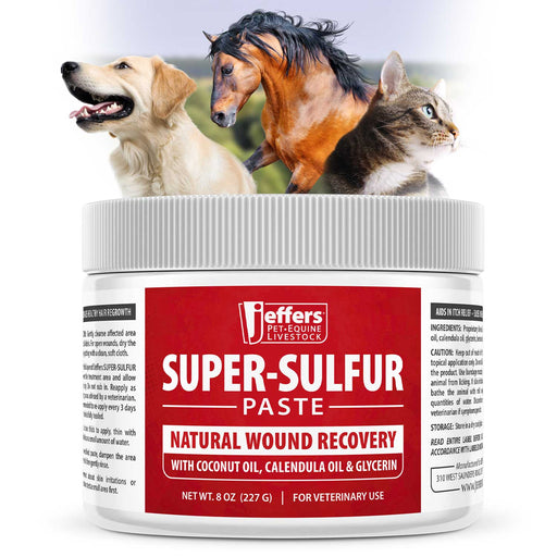 Jeffers Super - Sulfur Skin & Wound Healing Paste for Pets, Horses, & Livestock - JEZTY - 8 oz - 1