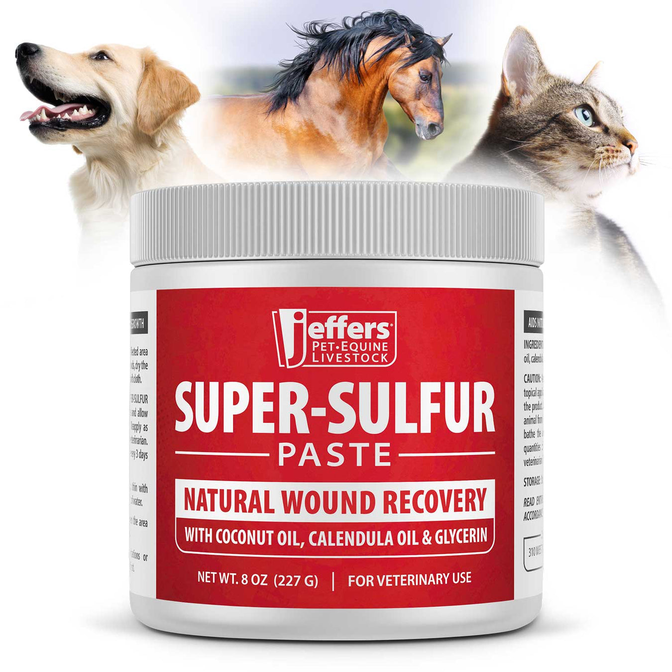 Jeffers Super-Sulfur Skin & Wound Healing Paste for Pets, Horses, & Livestock - JEZTY - Paste - 8 oz - Single - 1