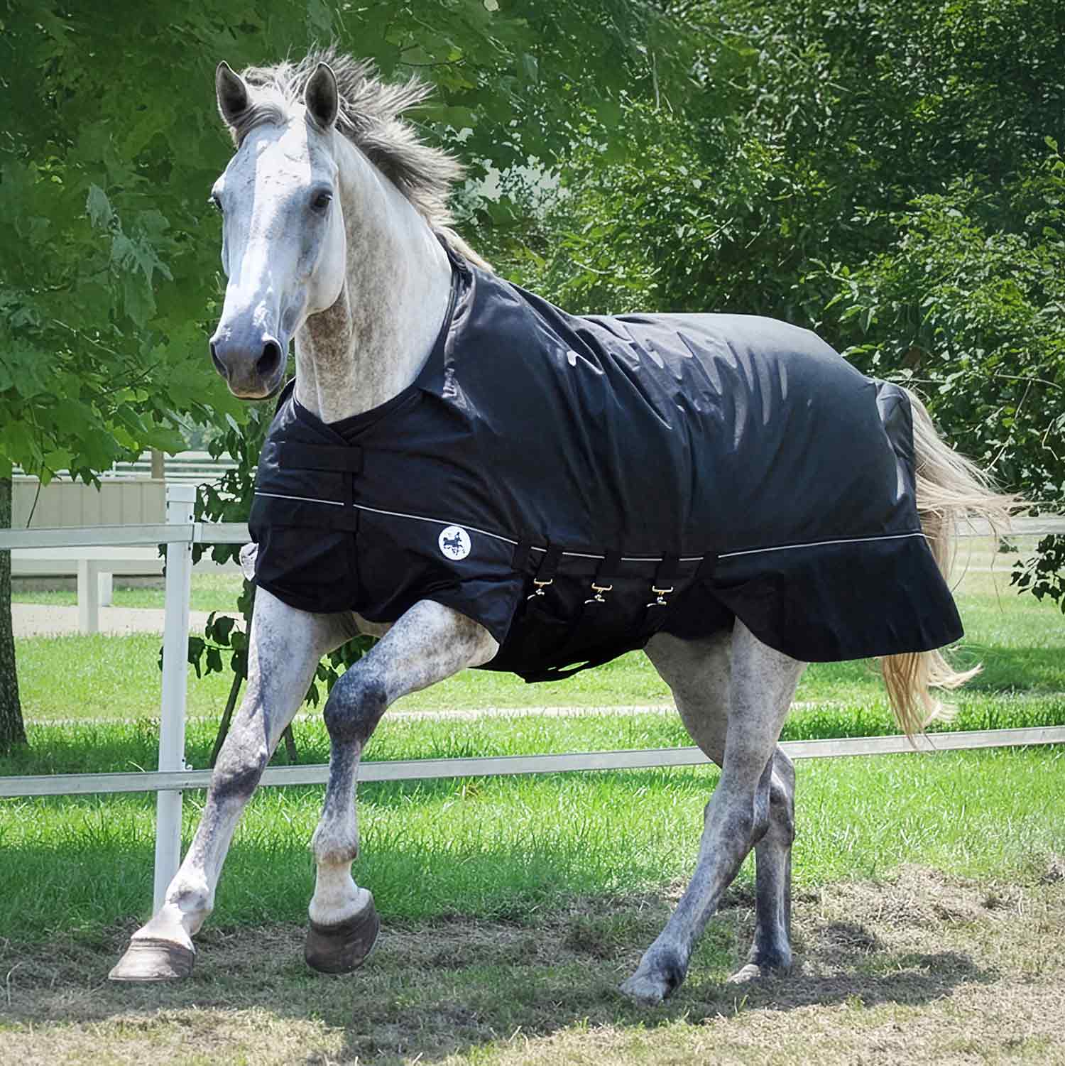 Jeffers Supreme Plus Heavy Weight Turnout Blanket, Black