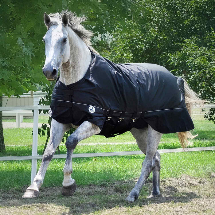 Jeffers Supreme Plus 1680 Denier Heavy Weight Horse Turnout Blanket, 360 gram fill, Black - GAGT2 - Black - 66 in - 1
