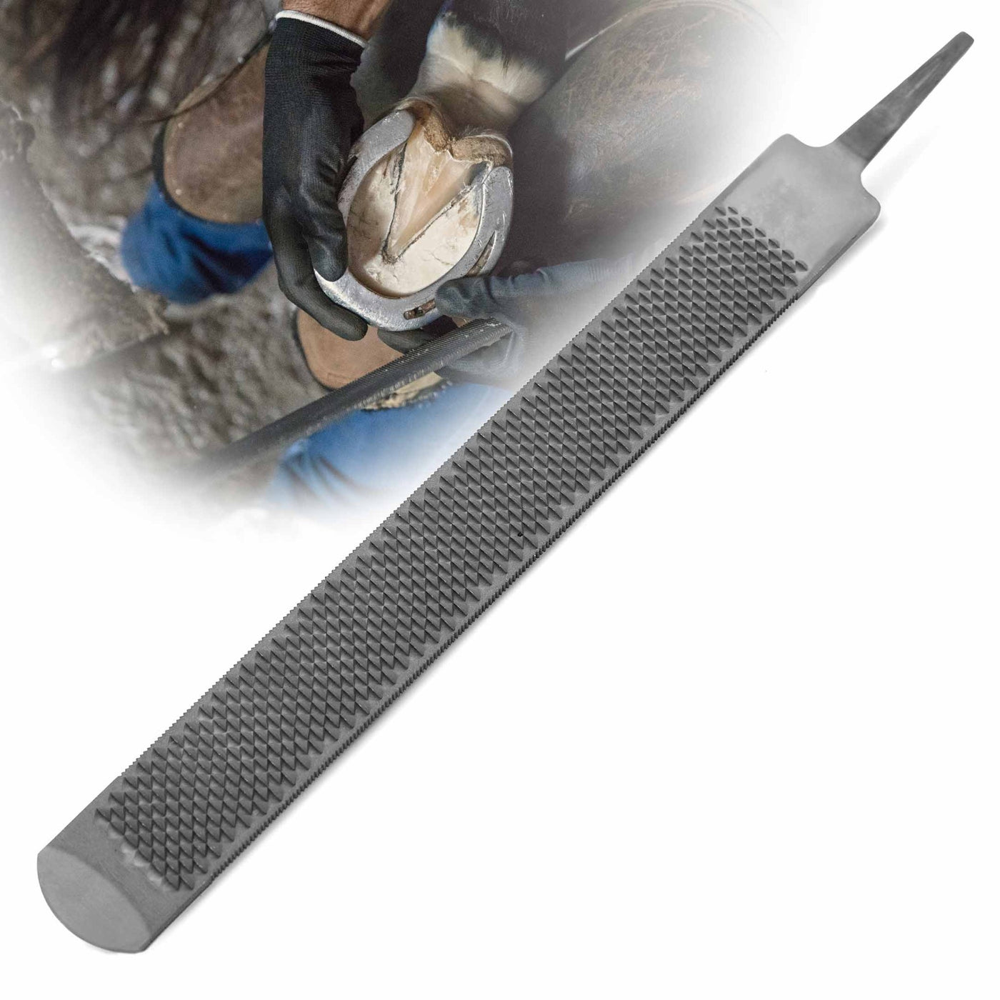 Jeffers Mini Hoof Rasp for Horses, Goats & Sheep, 10