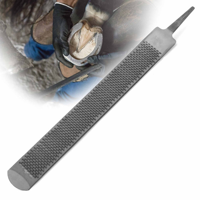 Jeffers Tanged Steel Hoof Rasp – Durable 10" & 14" Rasp for Horses, Ponies, Minis, Goats, and Sheep - IAA6 - 14"L - 5
