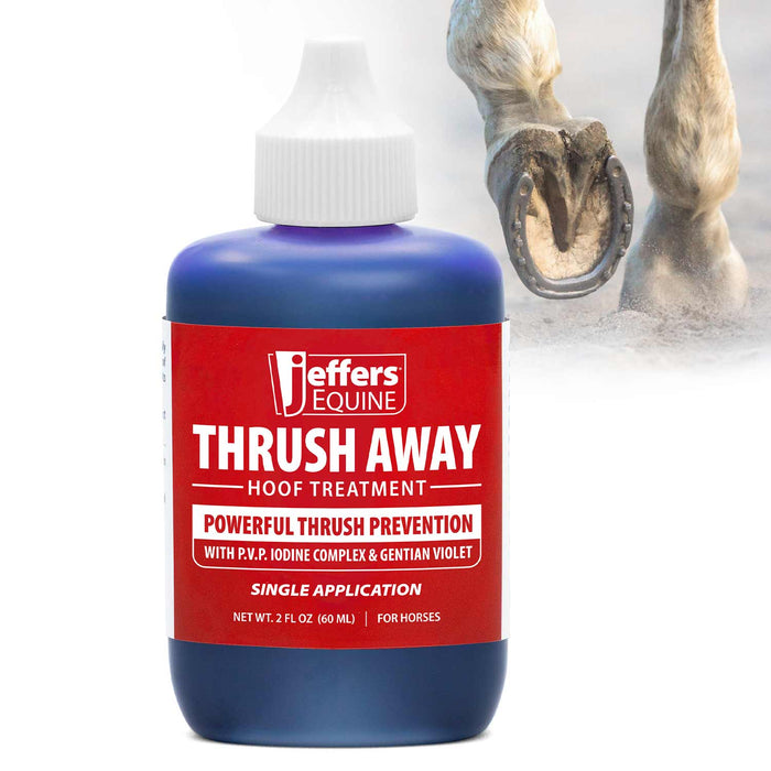 Jeffers Thrush Away Hoof Treatment for Thrush in Horses, 2 oz - TZT1 - 1