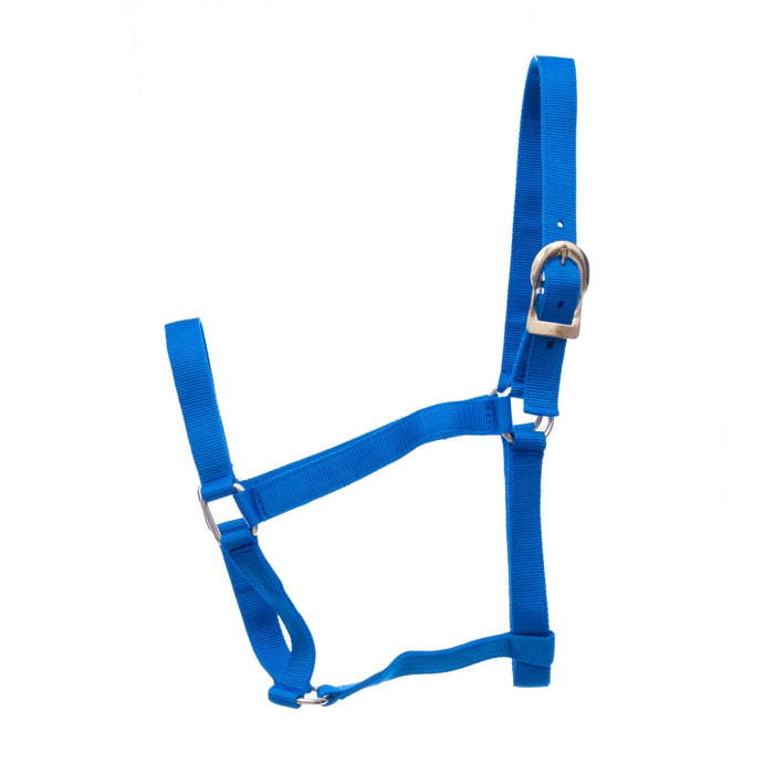 Jeffers Turnout Nylon Halter, 2 - yr old (600 - 900 lb) - Jeffers - Horse Supplies > Horse Tack > Horse Halters