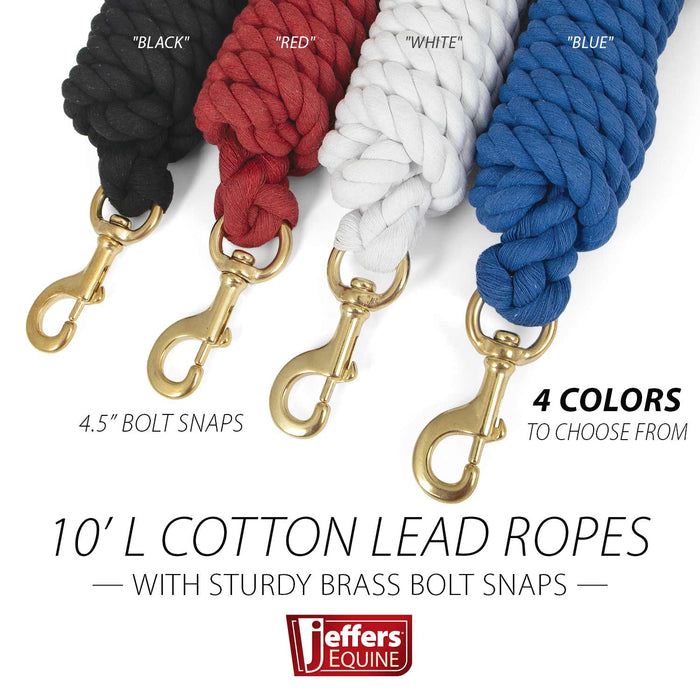 Jeffers Twisted Solid Cotton Horse Lead Ropes with Brass Bolt Snap, 10' L - IATF - White - 3