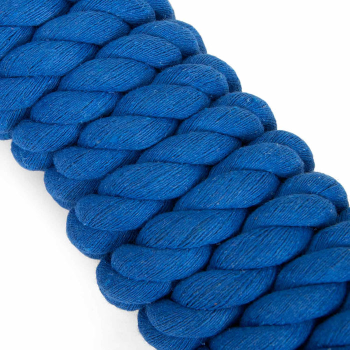Jeffers Twisted Solid Cotton Horse Lead Ropes with Brass Bolt Snap, 10' L - IATG - Blue - 8