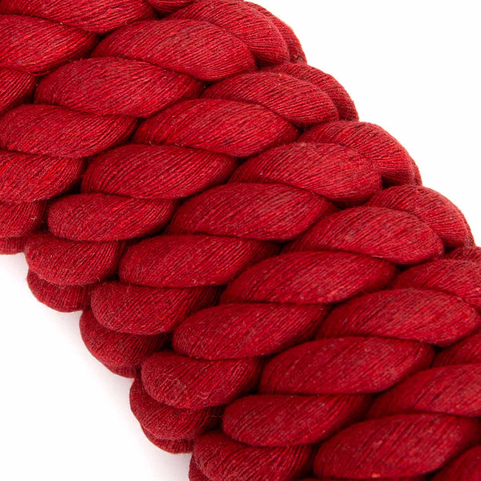 Jeffers Twisted Solid Cotton Horse Lead Ropes with Brass Bolt Snap, 10' L - IATI - Red - 14