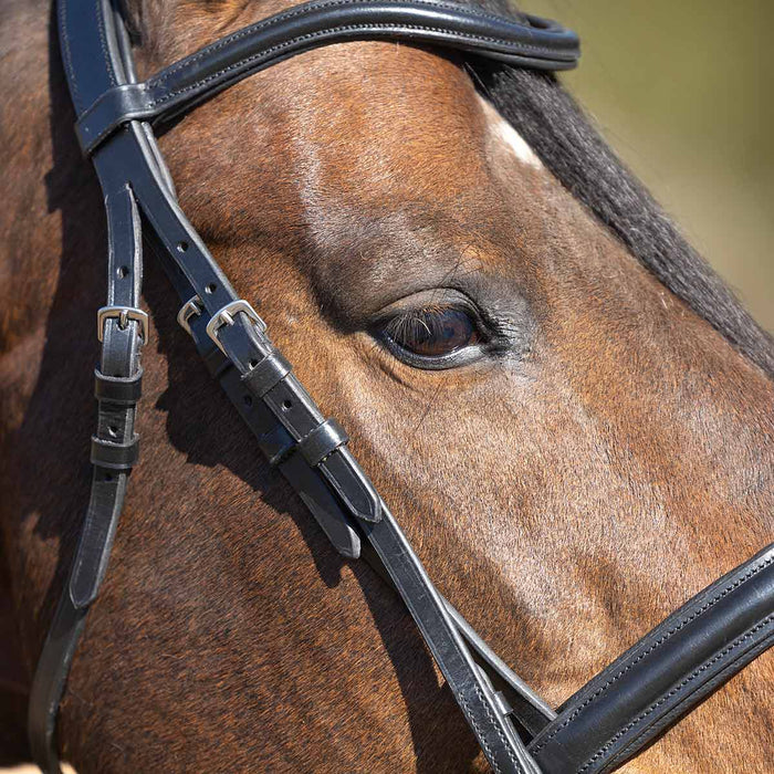 Jeffers Uniquely English "Aachen" Leather Dressage Bridle with Reins for Horses - JEF14F - Black - Cob - 1 - 4