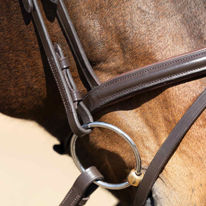 Jeffers Uniquely English "Blenheim" Leather Jumping Bridle for Horses - JEF14P - Havana - Cob - 1 - 8
