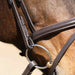 Jeffers Uniquely English "Blenheim" Leather Jumping Bridle for Horses - JEF14P - Havana - Cob - 1 - 8