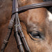 Jeffers Uniquely English "Blenheim" Leather Jumping Bridle for Horses - JEF14P - Havana - Cob - 1 - 9