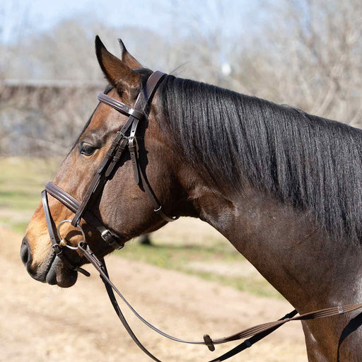 Jeffers Uniquely English "Blenheim" Leather Jumping Bridle for Horses - JEF14P - Havana - Cob - 1 - 2