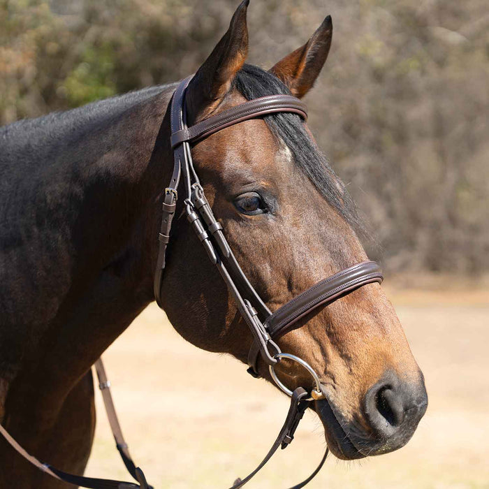 Jeffers Uniquely English "Devon" Leather Snaffle Bridle with Reins for Horses - JEF14B - Havana - Cob - 1 - 4