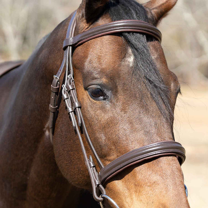 Jeffers Uniquely English "Devon" Leather Snaffle Bridle with Reins for Horses - JEF14B - Havana - Cob - 1 - 7