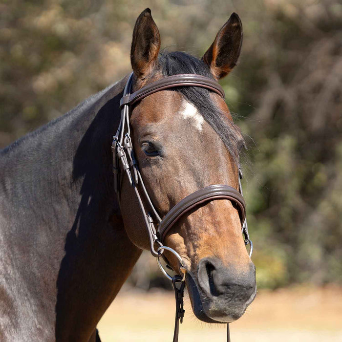Jeffers Uniquely English "Devon" Leather Snaffle Bridle with Reins for Horses - JEF14B - Havana - Cob - 1 - 3