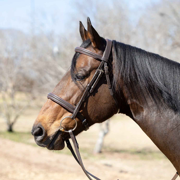 Jeffers Uniquely English "Devon" Leather Snaffle Bridle with Reins for Horses - JEF14B - Havana - Cob - 1 - 6