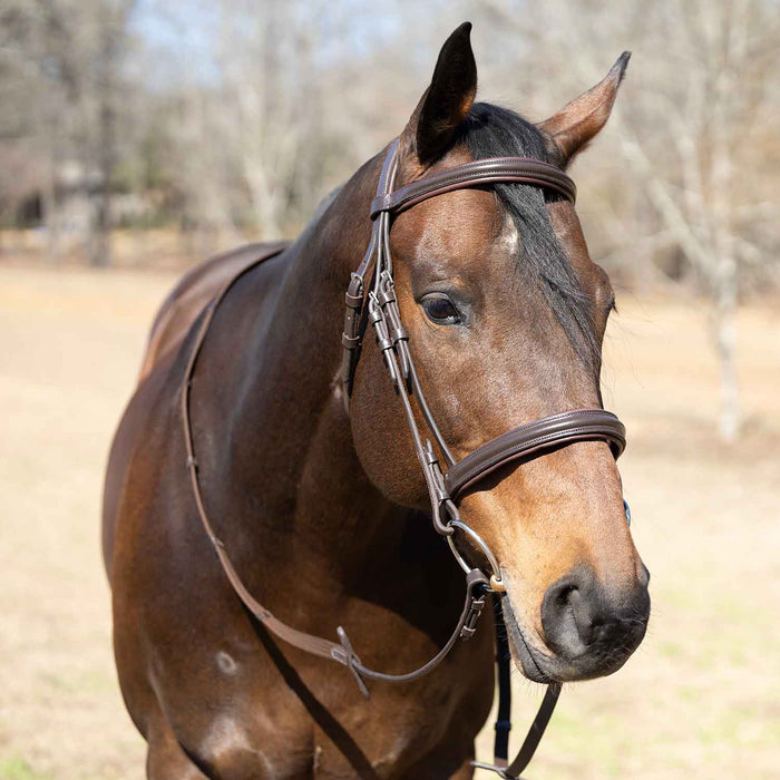 Jeffers Uniquely English "Devon" Leather Snaffle Bridle with Reins for Horses - JEF14B - Havana - Cob - 1 - 2