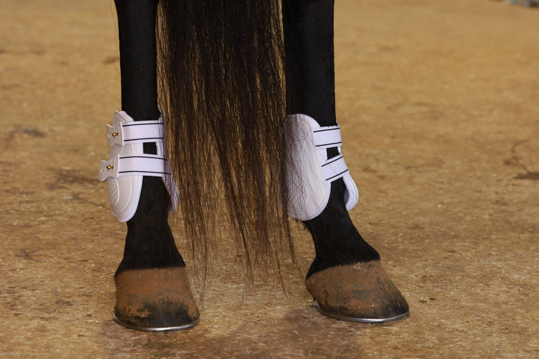 Jeffers Uniquely English Fetlock Boots for Horses, 2 - Pack - IAQO - Medium - Brown - 2 pk - 7