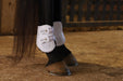 Jeffers Uniquely English Fetlock Boots for Horses, 2 - Pack - IAQS - Large - Black - 2 pk - 5