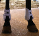 Jeffers Uniquely English Fetlock Boots for Horses, 2 - Pack - IAQT - Medium - White - 2 pk - 2