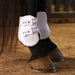 Jeffers Uniquely English Fetlock Boots for Horses, 2 - Pack - IAQT - Medium - White - 2 pk - 1