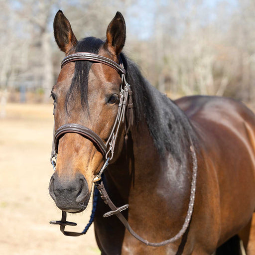 Jeffers Uniquely English "Hampton" Leather Hunter Bridle for Horses - JEF13X - Havana - Cob - 1 - 2