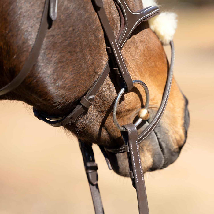 Jeffers Uniquely English Hickstead Figure - 8 Bridle with Web Reins for Horses - JEF01B - Havana - Cob - 1 - 8