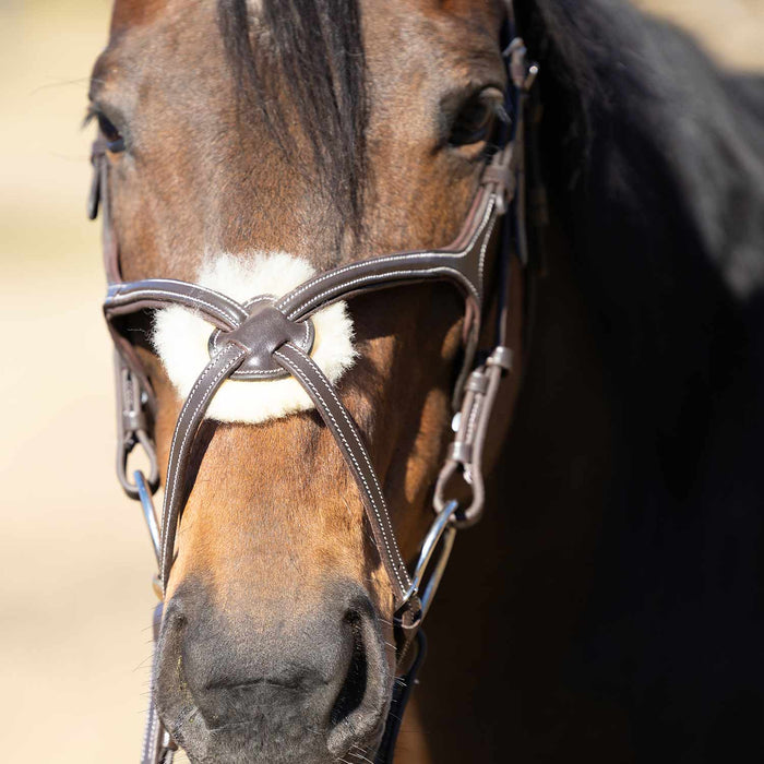 Jeffers Uniquely English Hickstead Figure - 8 Bridle with Web Reins for Horses - JEF01B - Havana - Cob - 1 - 7