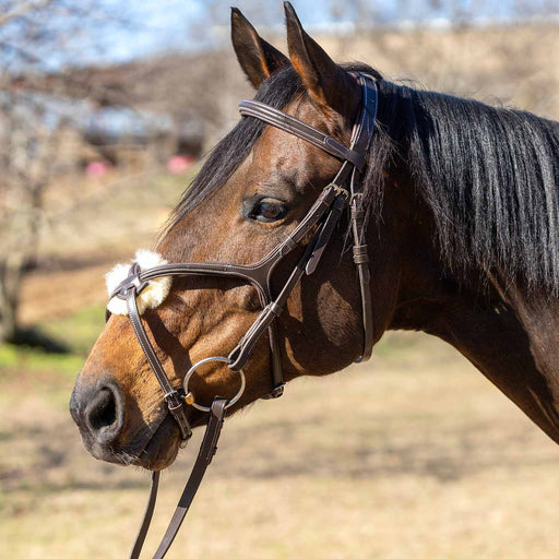 Jeffers Uniquely English Hickstead Figure - 8 Bridle with Web Reins for Horses - JEF01B - Havana - Cob - 1 - 2
