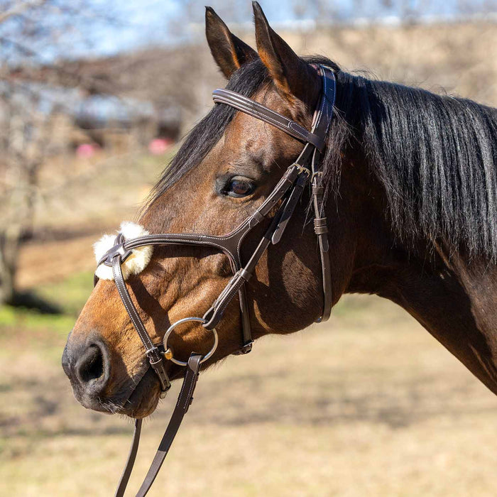 Jeffers Uniquely English Hickstead Figure - 8 Bridle with Web Reins for Horses - JEF01B - Havana - Cob - 1 - 2