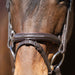 Jeffers Uniquely English "Kentucky" Fancy Stitched Leather Jumping Bridle for Horses - JEF14K - Havana - Cob - 1 - 5