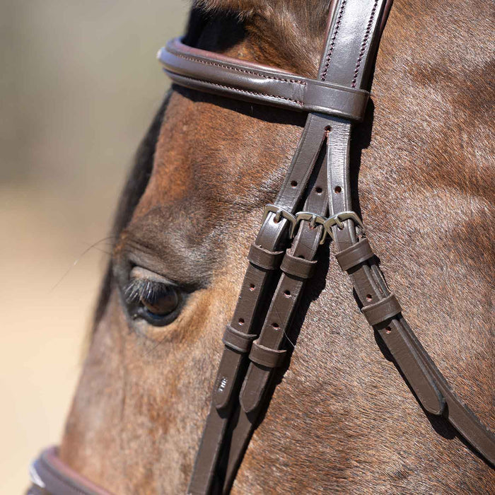 Jeffers Uniquely English "Kentucky" Fancy Stitched Leather Jumping Bridle for Horses - JEF14K - Havana - Cob - 1 - 6